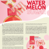 Collection Pastèque Unbottled